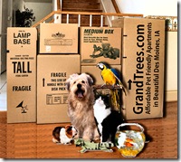 grandtrees pet friendly apartments in des moines, ia moving with pets