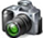 Pet Photography in Honolulu