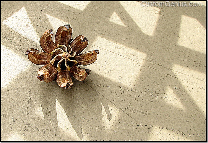 shadow-flower-floor-art