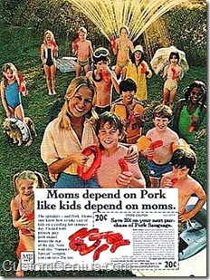 funny-advertisements-vintage-retro-old-commercials-customgenius.com (102)